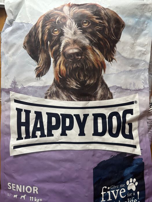 Happy dog karma senior