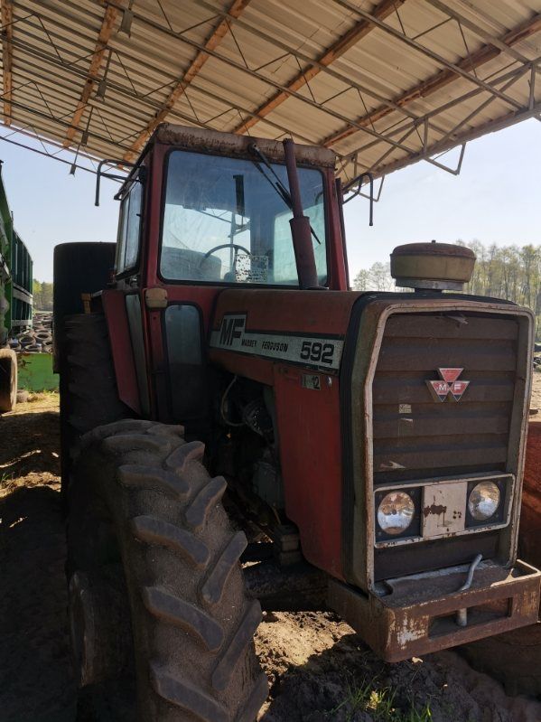 Massey Ferguson 592, 81r, 4 cylindry, przedni napęd, stan bardzo dobry