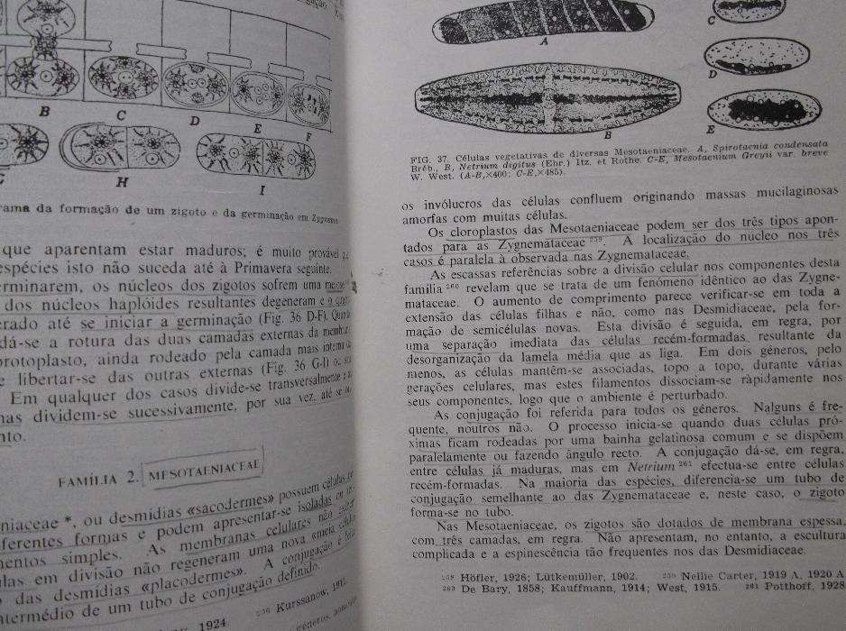 Livro Botânica Criptogâmica de Gilbert Morgan Smith - fundação caloust