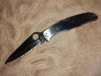 Spyderco Endura SS