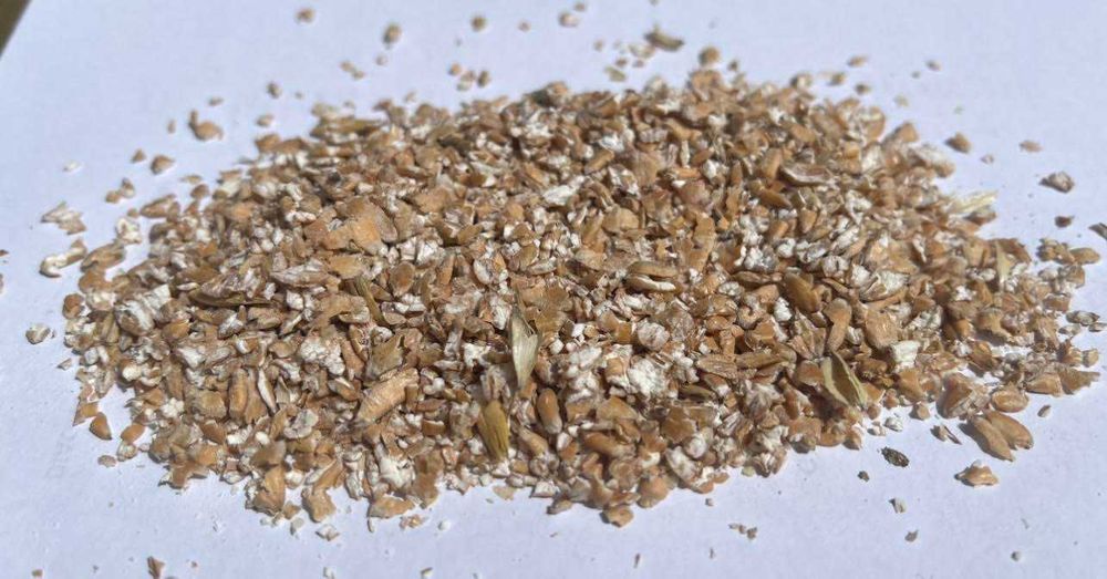 Płatki Pszenne dla Ptaków 25 kg