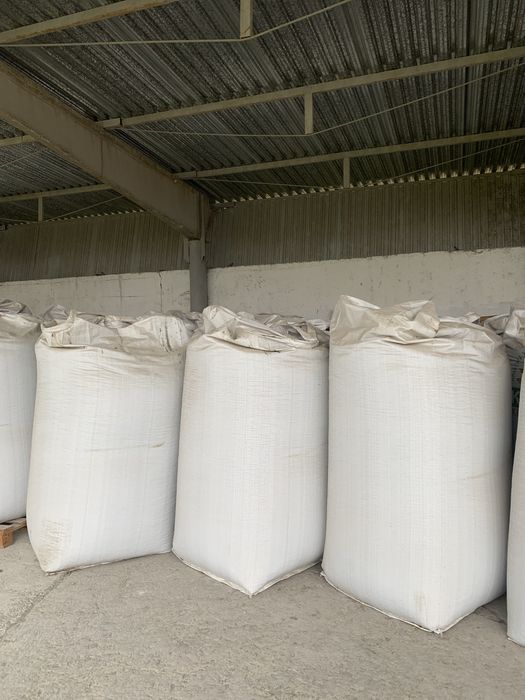 Пилета подсолнуха 8 мм