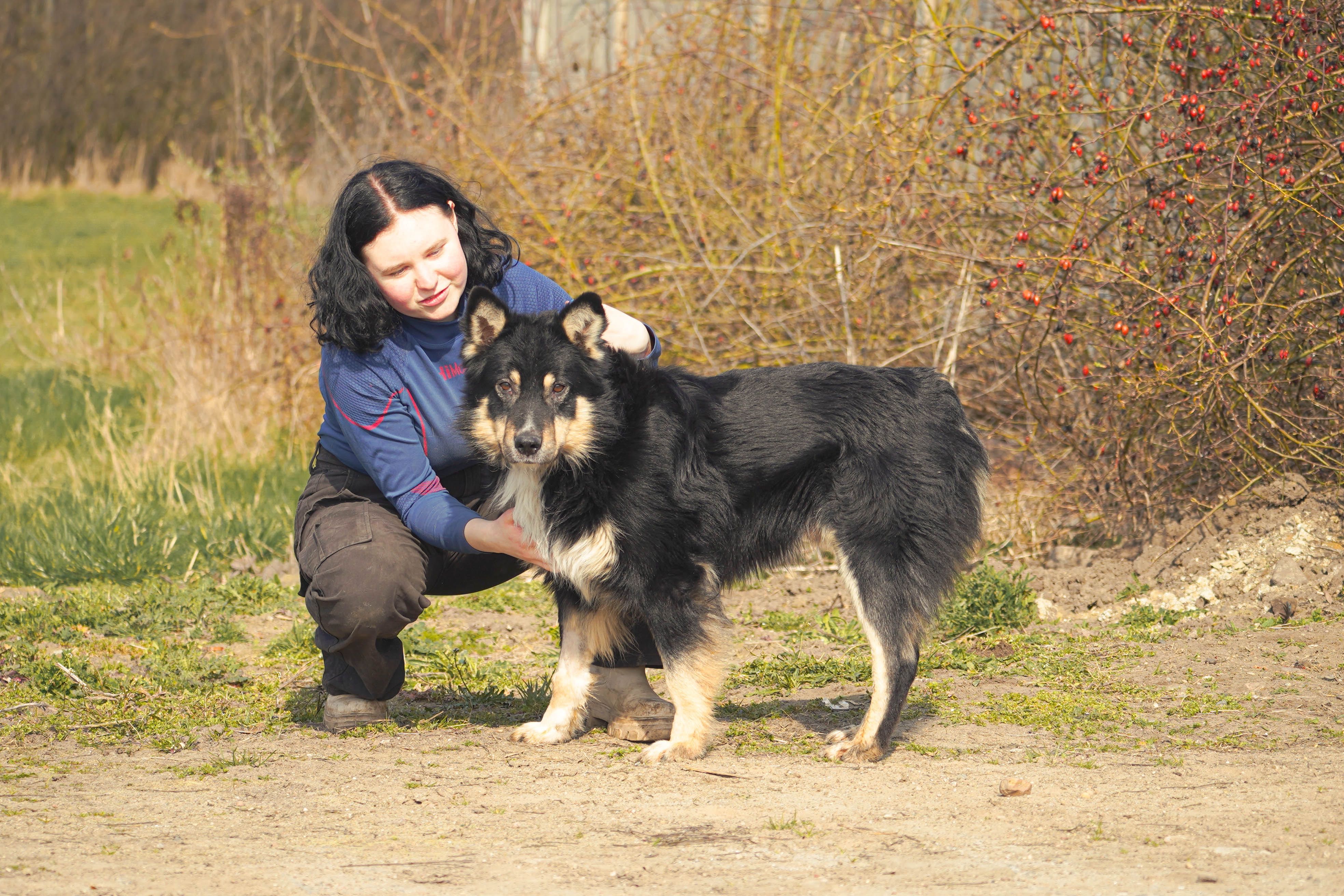 Baret psiak który czeka na domek