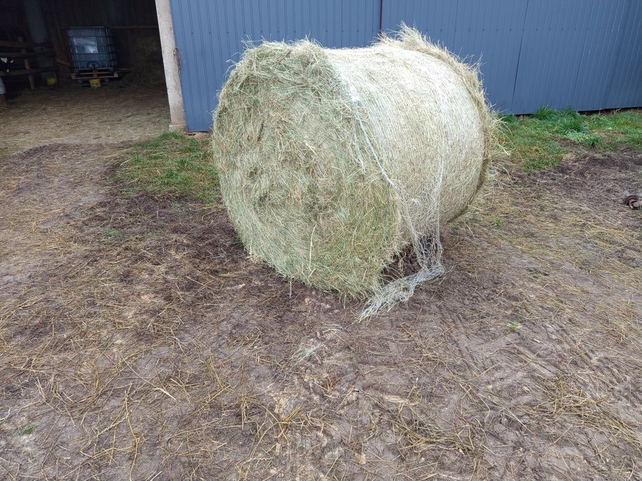 Sprzedam nadmiar siana