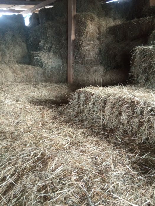 Тюки сіна та соломи. Самовивiз. Можлива доставка. Продам.