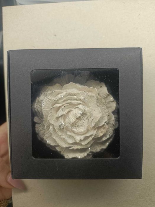 Decorações em gesso / cera e cerâmica