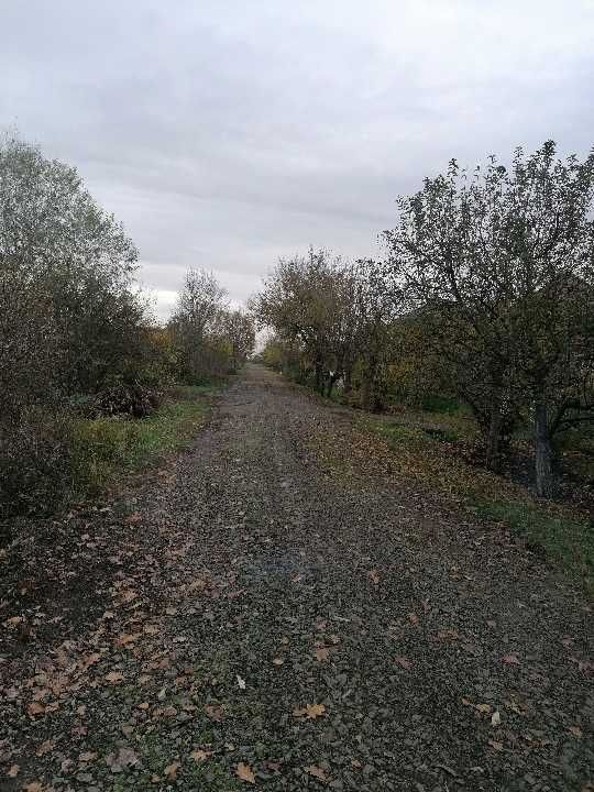 Домоволодіння та земельна ділянка