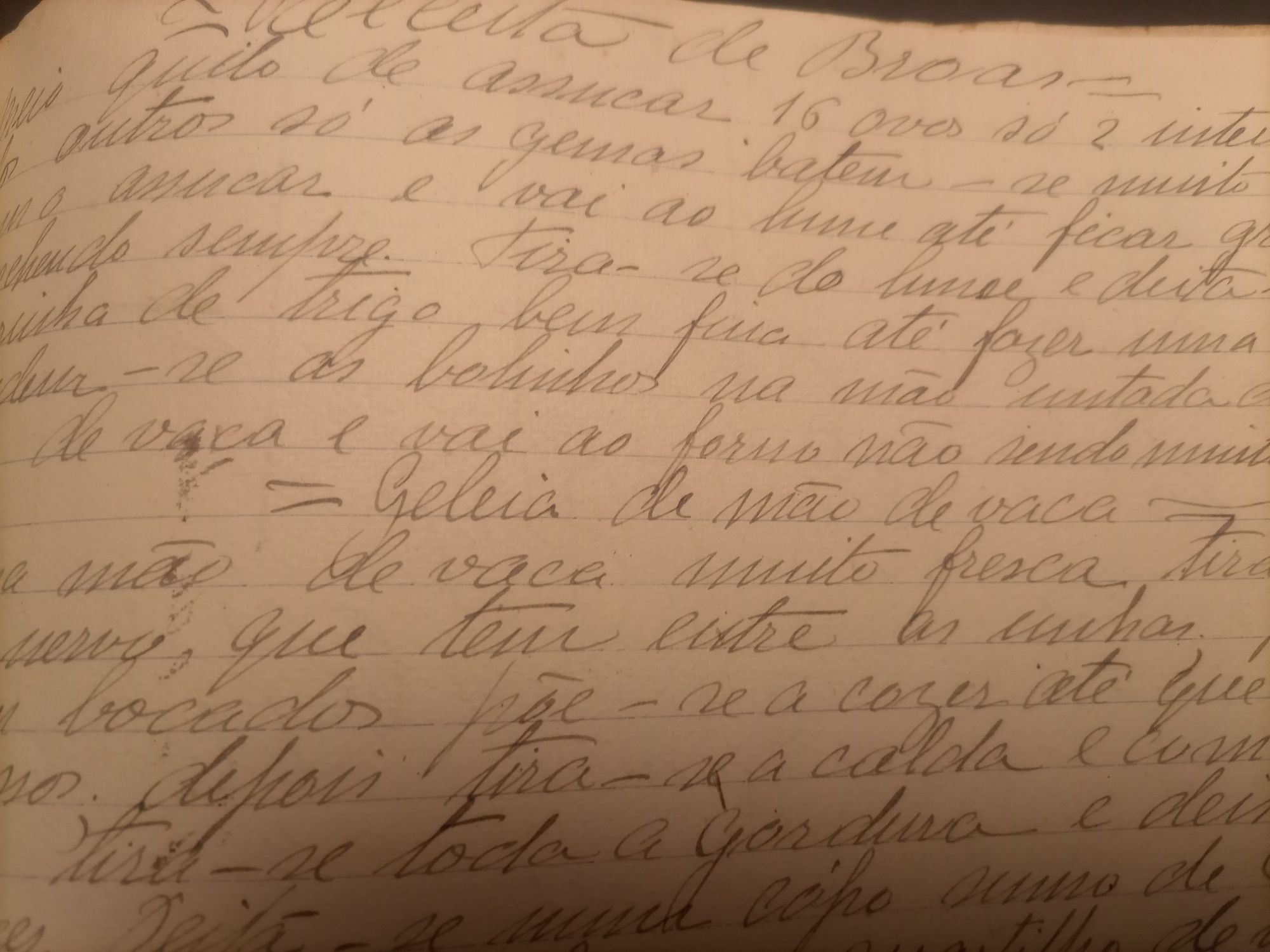 Culinária Cozinha Receitas Caderno Manuscrito Vinho