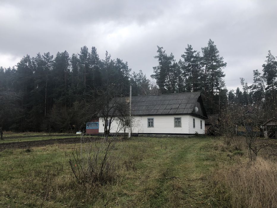 Продам будинок в смт. Соснове