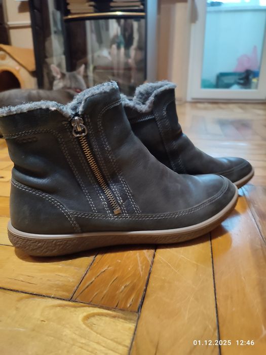 Полусапожки ЭККО