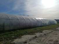 Tunel foliowy 60 x 7