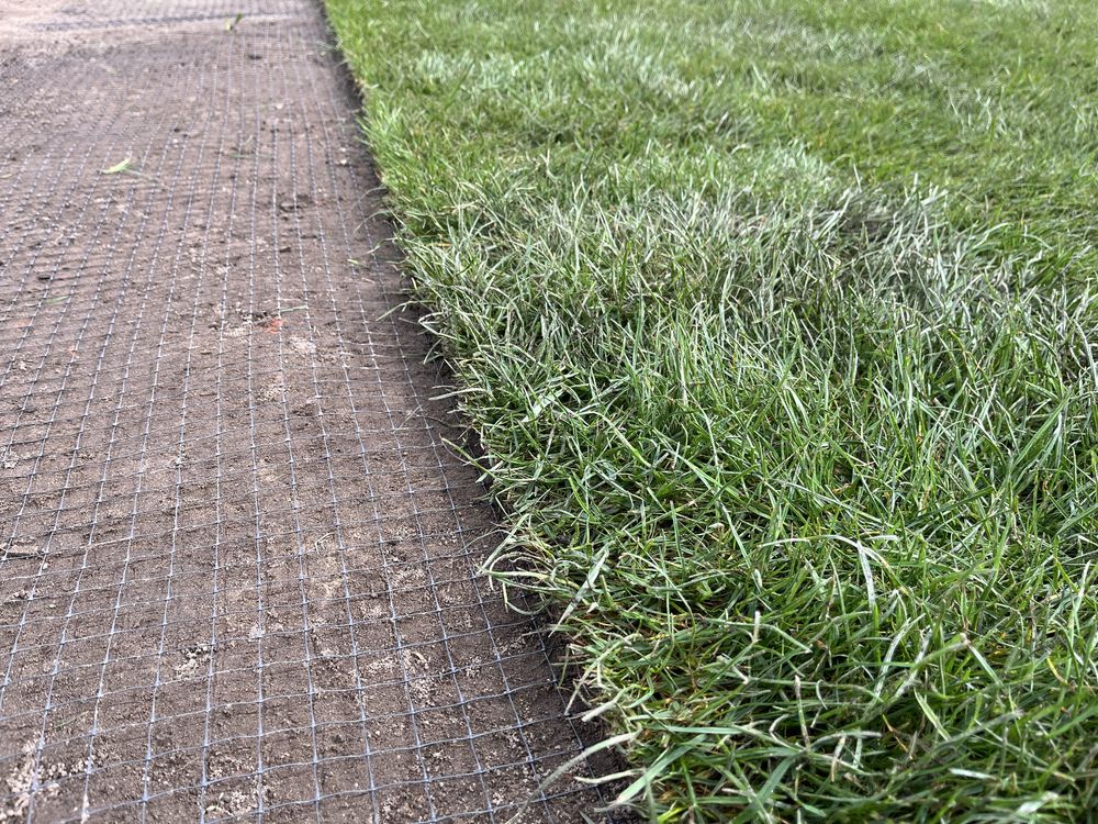 Trawa w rolce trawa z rolki 40m2 z dostawą pod sam dom