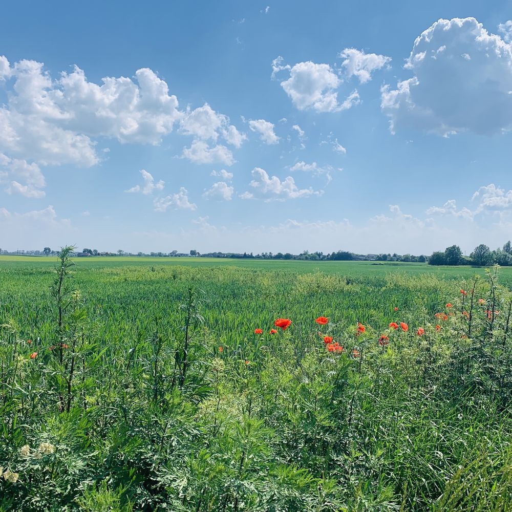 Sprzedam działkę budowlaną