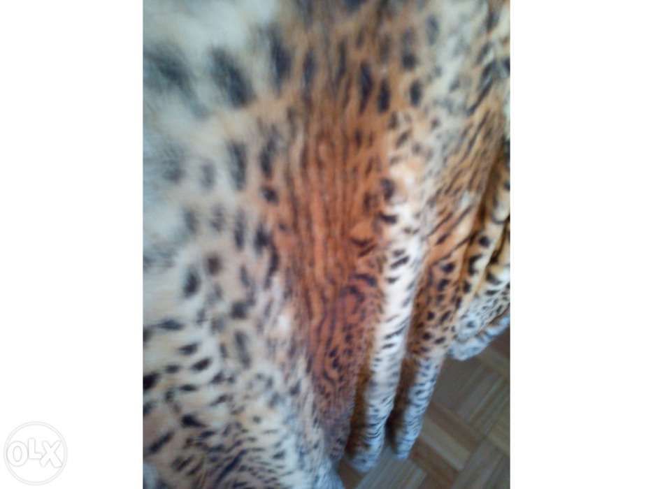 Casaco leopardo verdadeiro comprado em Paris como novo