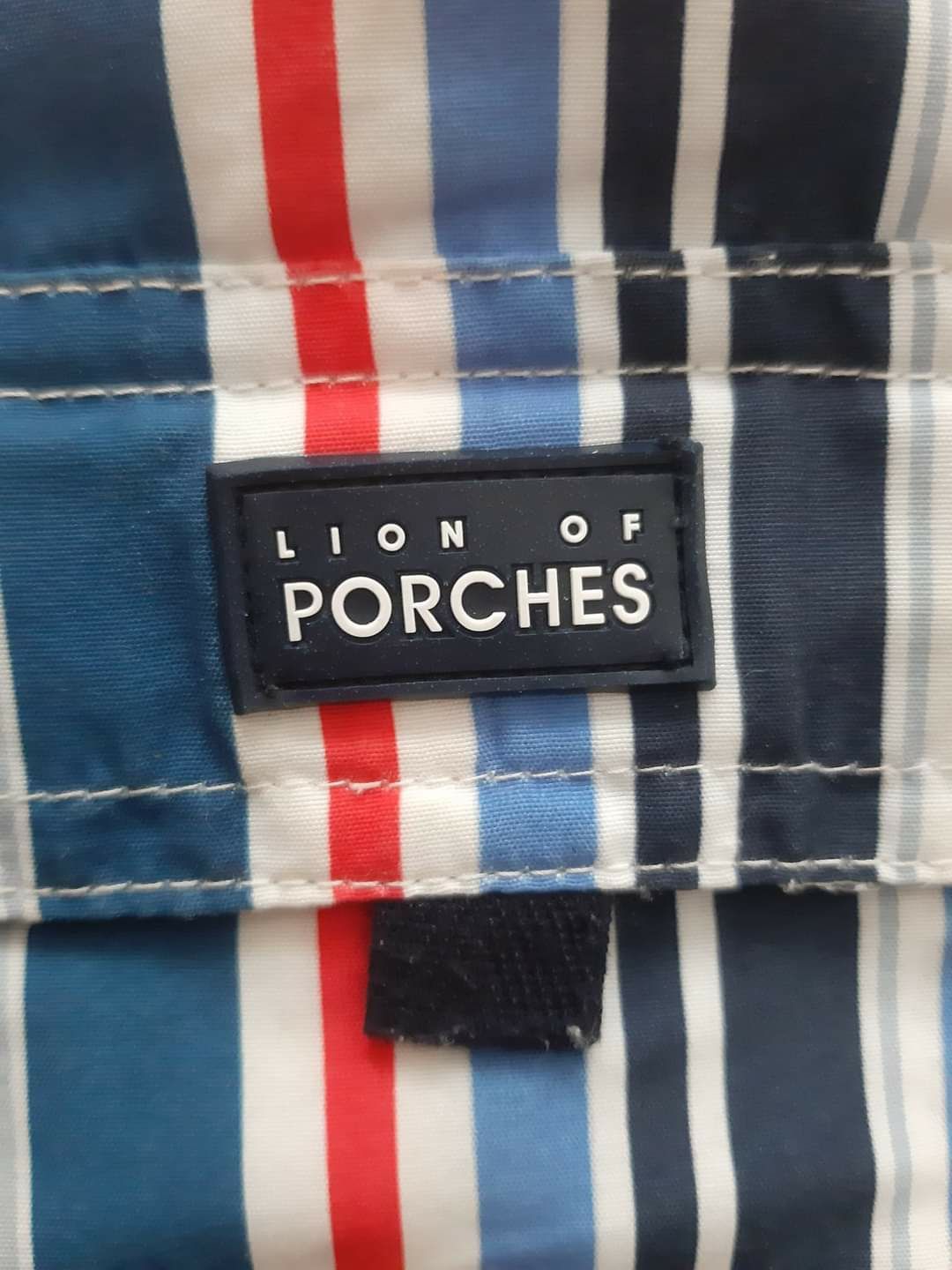 Calção banho Lion of Porches 5/6 anos