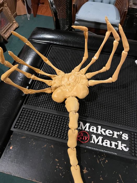 Facehugger Alien Realista para Exibir