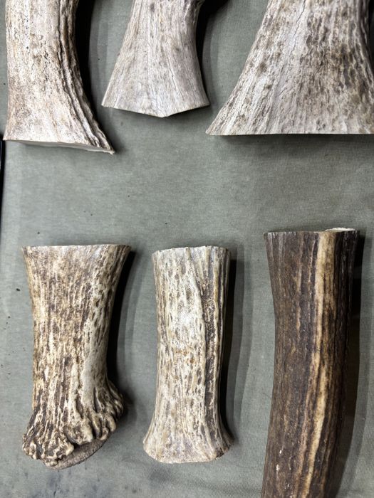 Масивні заготовки рог