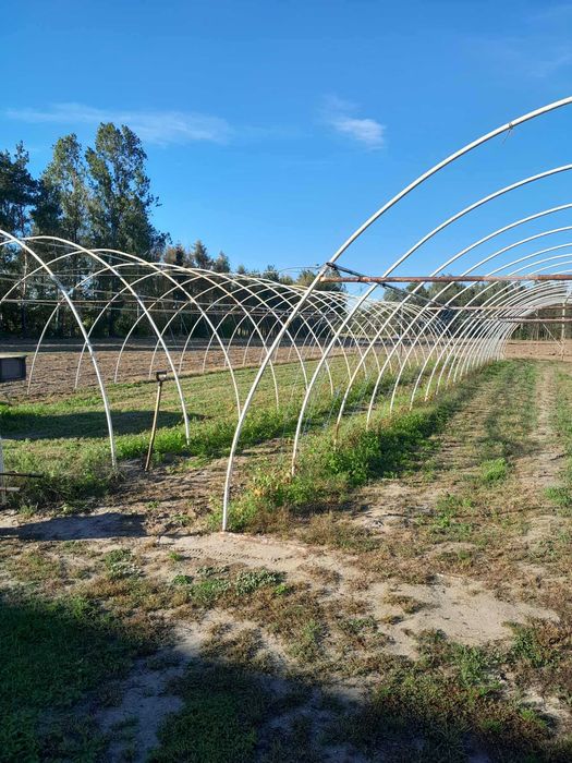 Sprzedam tunel foliowy 6x30