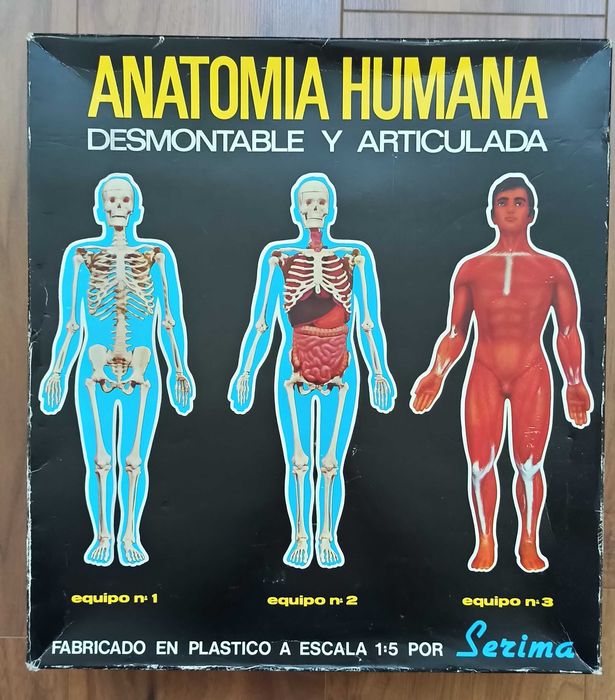 Jogo de Anatomia Humana SERIMA
