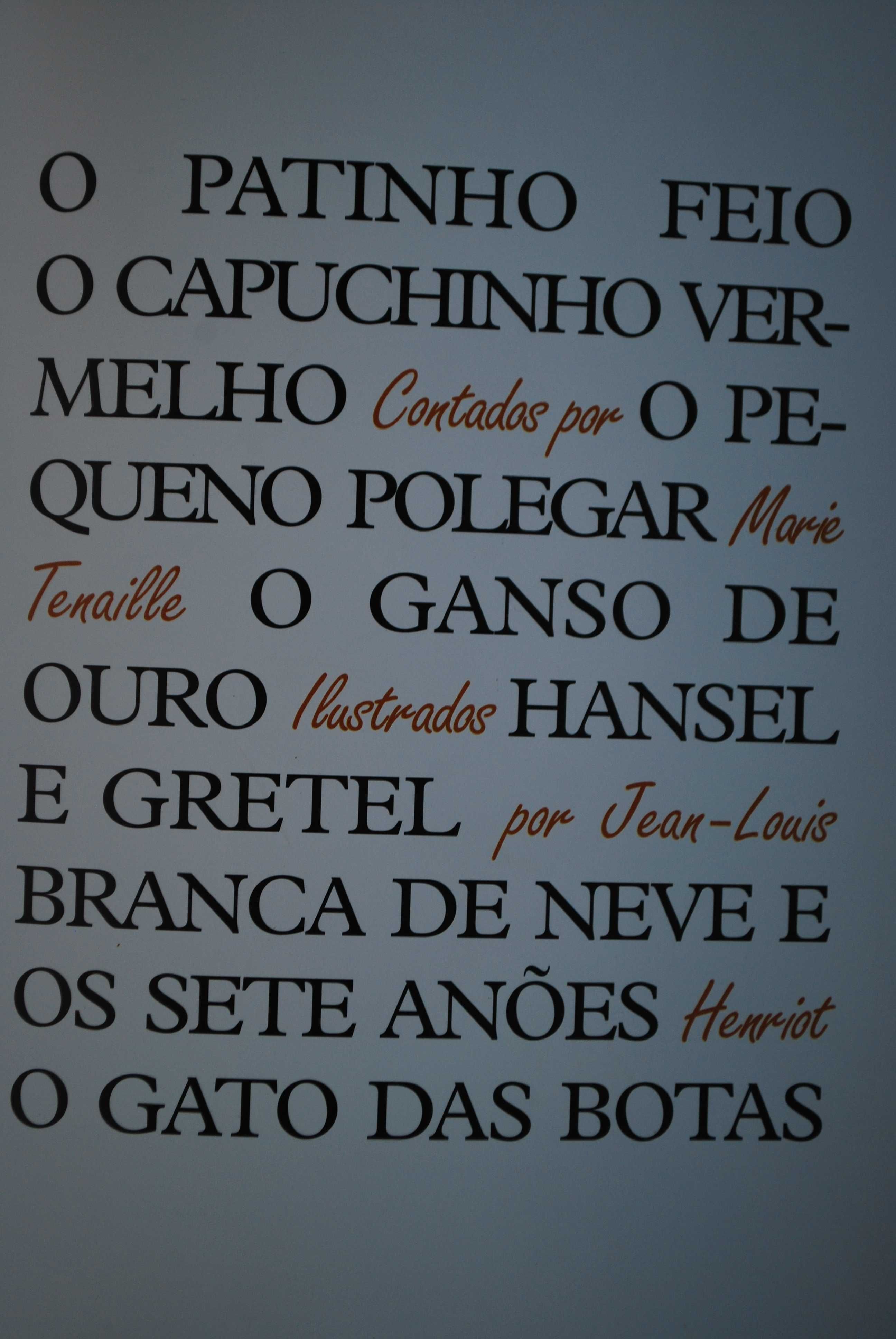 O Meu Livro de Contos de Marie Tenaille