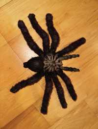 Realistyczny pająk zabawka