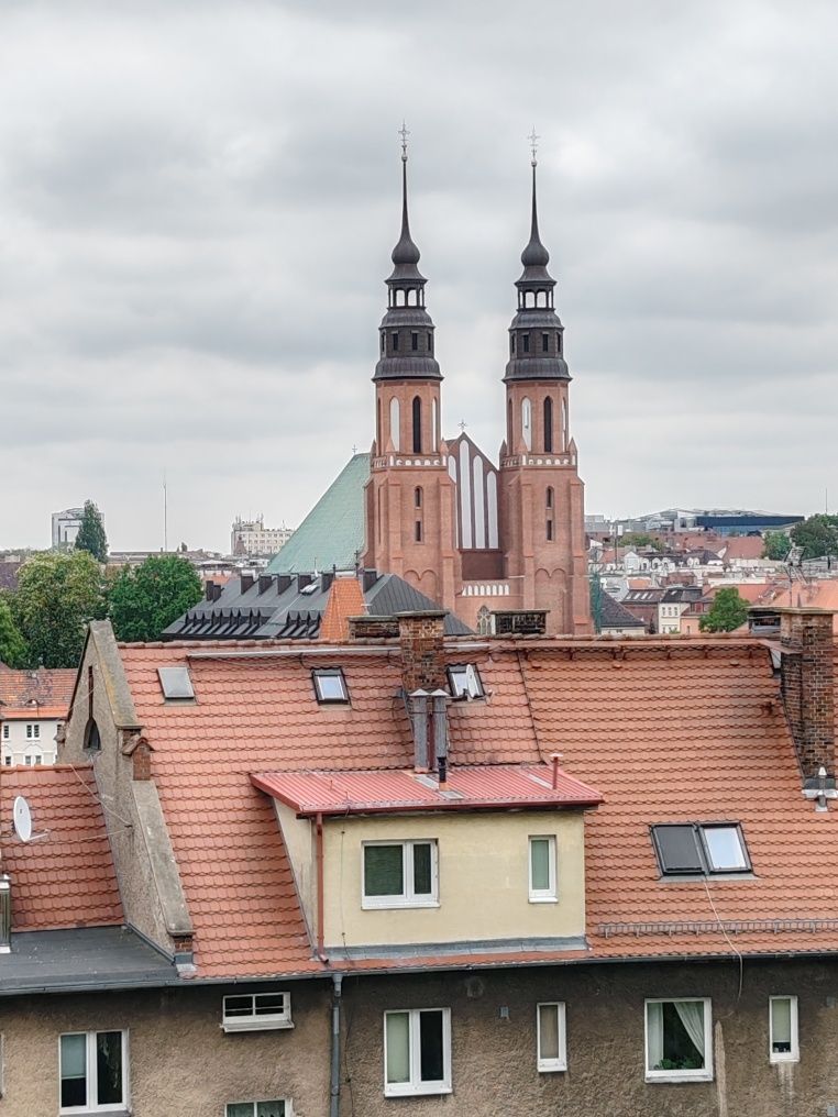 Kawalerka do wynajęcia