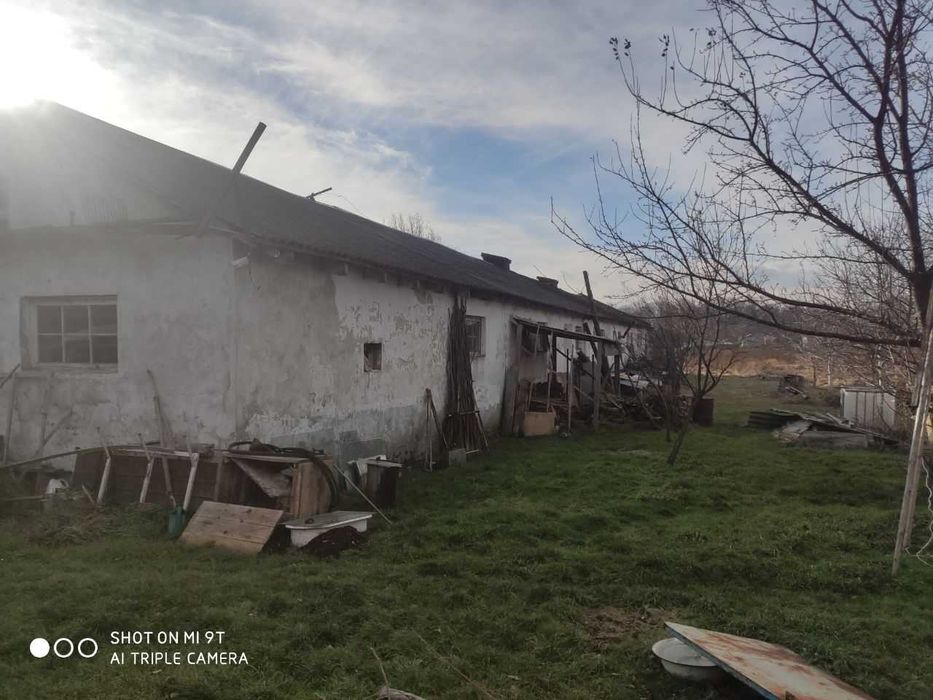 Ферма / Приміщення ферми/ сільсько господарське приміщення