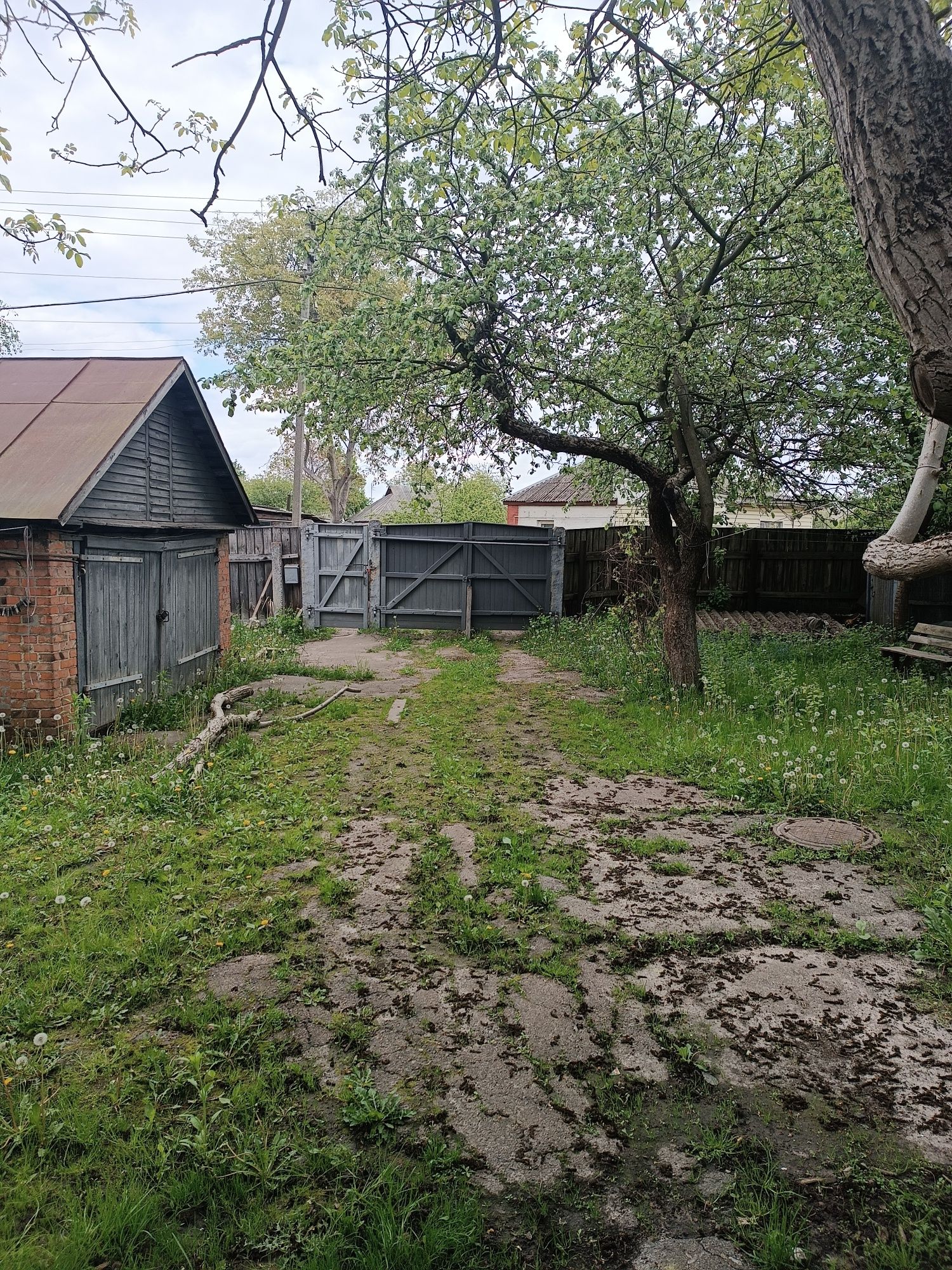 Великий будинок, Обласна лікарня, 15 сот землі