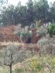 Quinta rural com  41000 metros s quadrados
