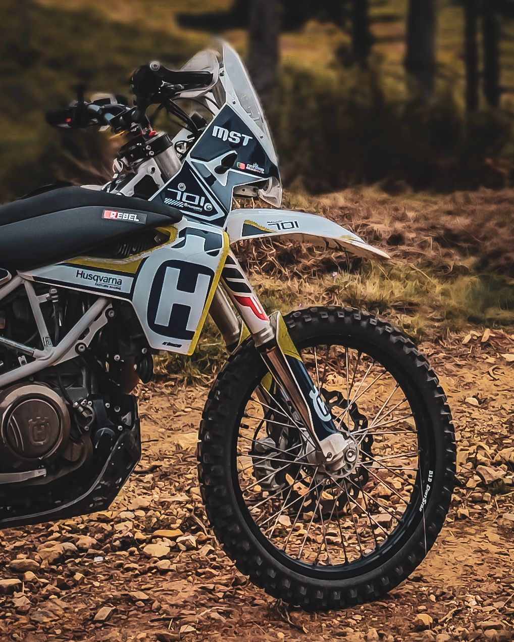 Husqvarna 701 Enduro - 2019