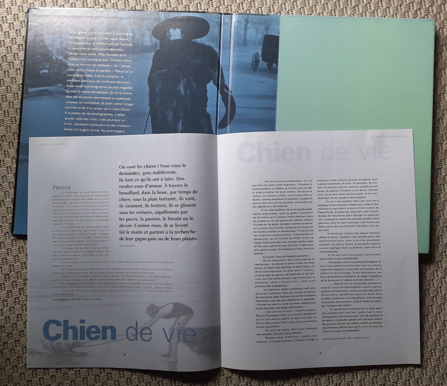 Álbum de 19 Fotografias "Vies de Chien" 30 x 35 cm, Tana Éditions
