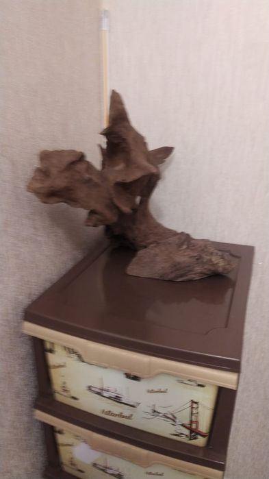 Продам корягу в аквариум