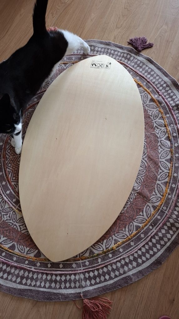 Prancha de skimming, skimboard