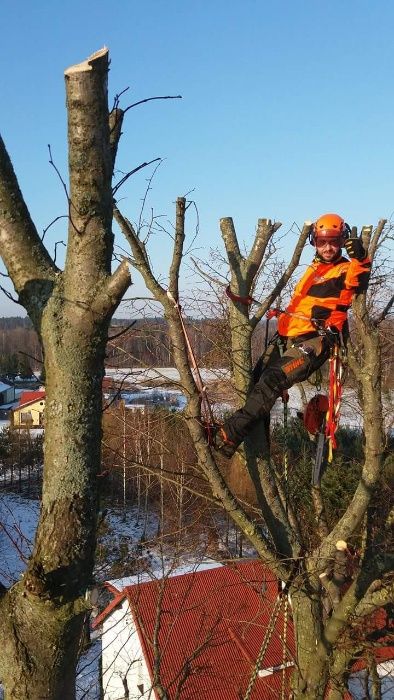 Wycinka drzew. Pilarz-drwal, arborysta. Wykaszanie zarośli.