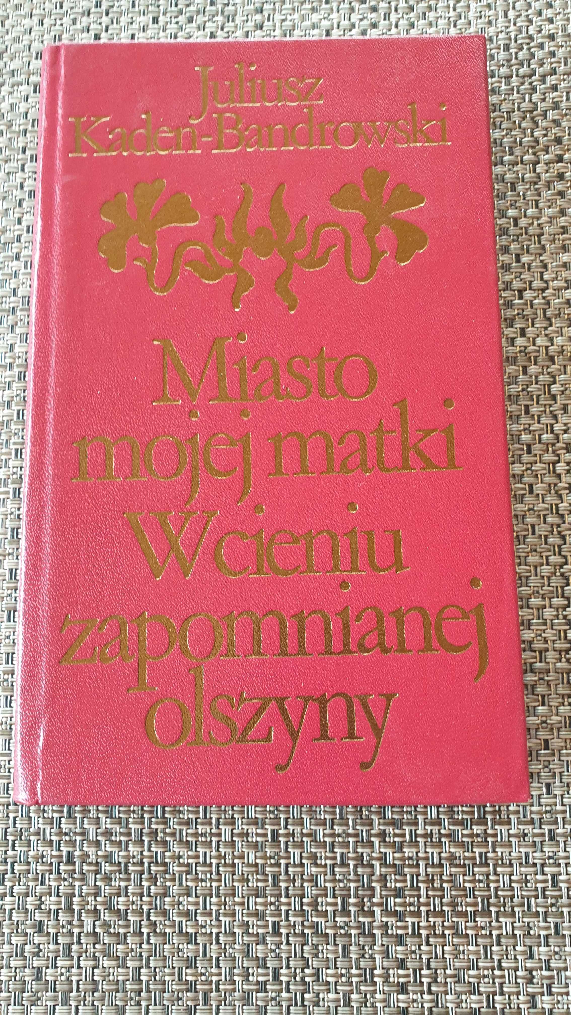 Miasto mojej matki - Juliusz Kaden-Bandrowski