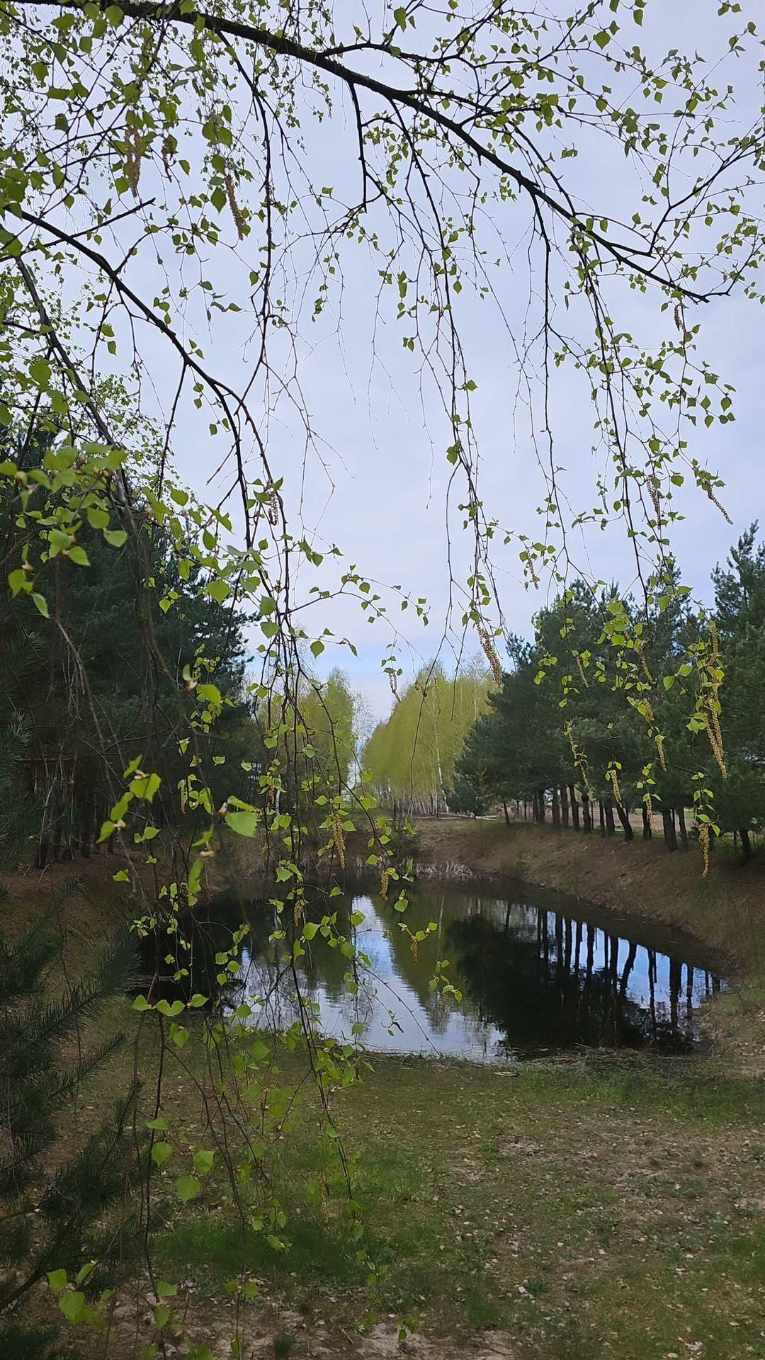Domek nad stawem, Sochaczew - Mazowieckie nocleg, dom, agroturystyka