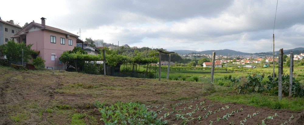 Quinta Rústica com Moradia para restauro  e Acesso ao Rio