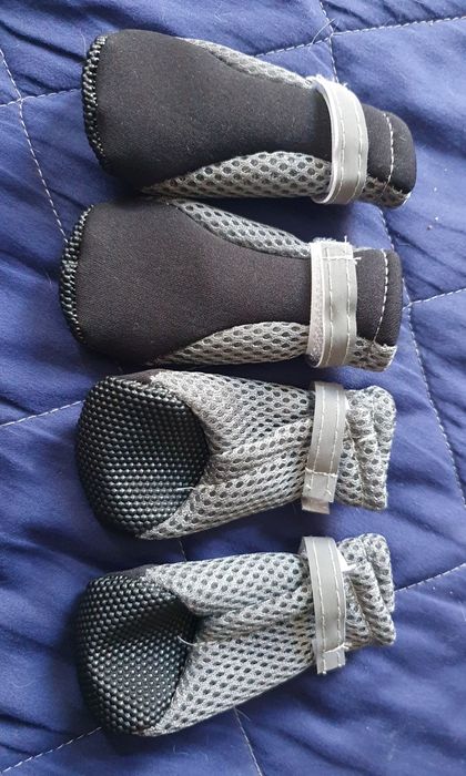 Buty dla psa ochronne