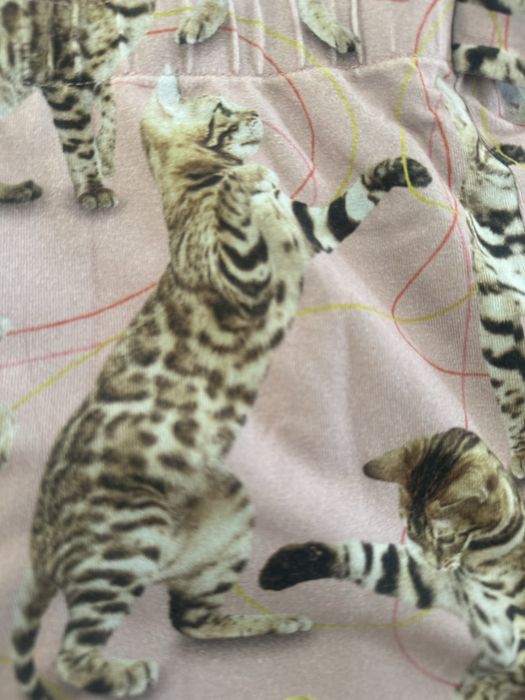 Molo оригинал