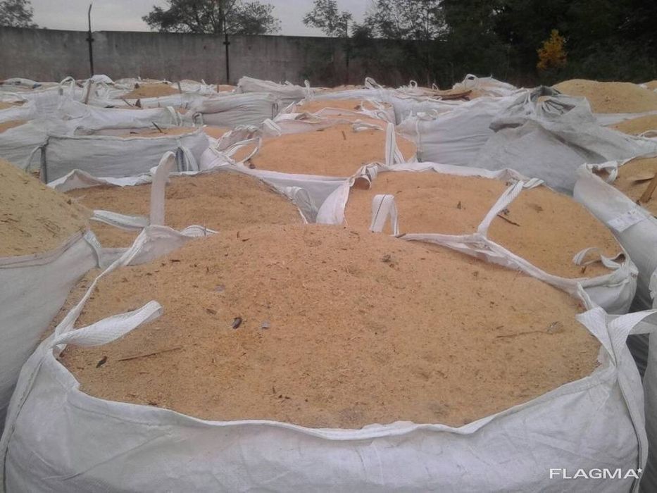 Тирса соснова постійно