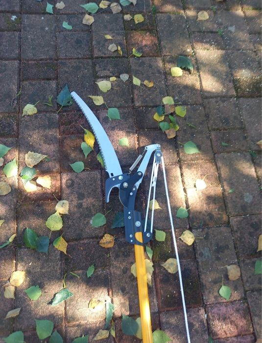 Sekator Teleskopowy Pila 2w1 Do Galezi Drzew 240cm Powermat