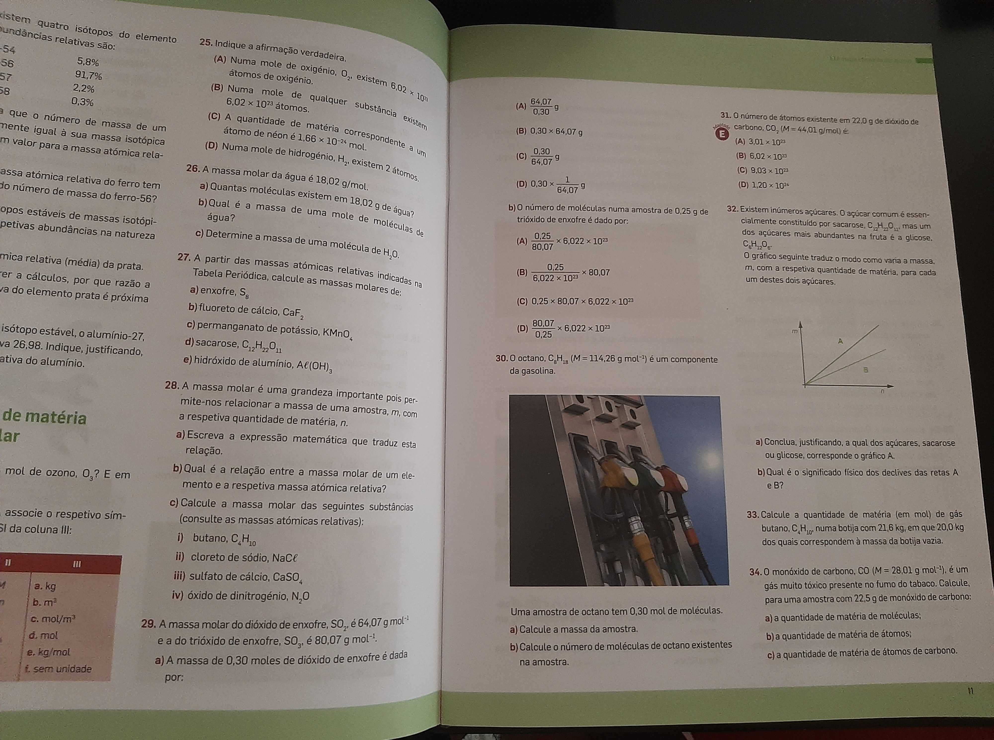 Caderno de Exercícios - Física e Química A 10º ano (Química)