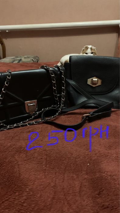 Сумка .Клатч. Портфель. 200 грн -любая.