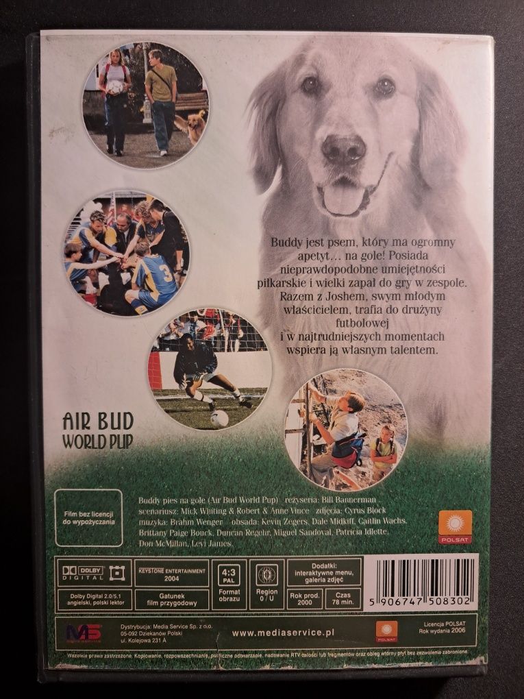 Buddy - Pies na gole | Kevin Zegers | DVD