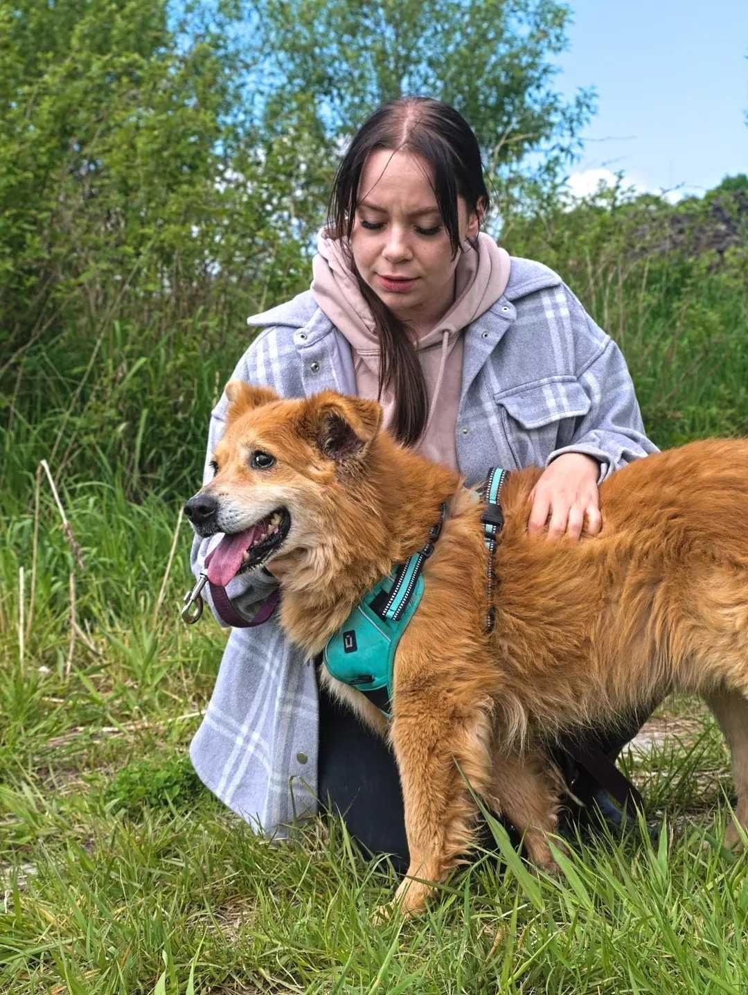 Karmelek - psi ideał szuka domu ADOPCJA