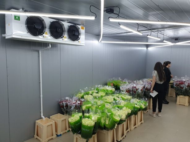 Холодильний агрегат для зберігання квітів камера сендвіч панелі