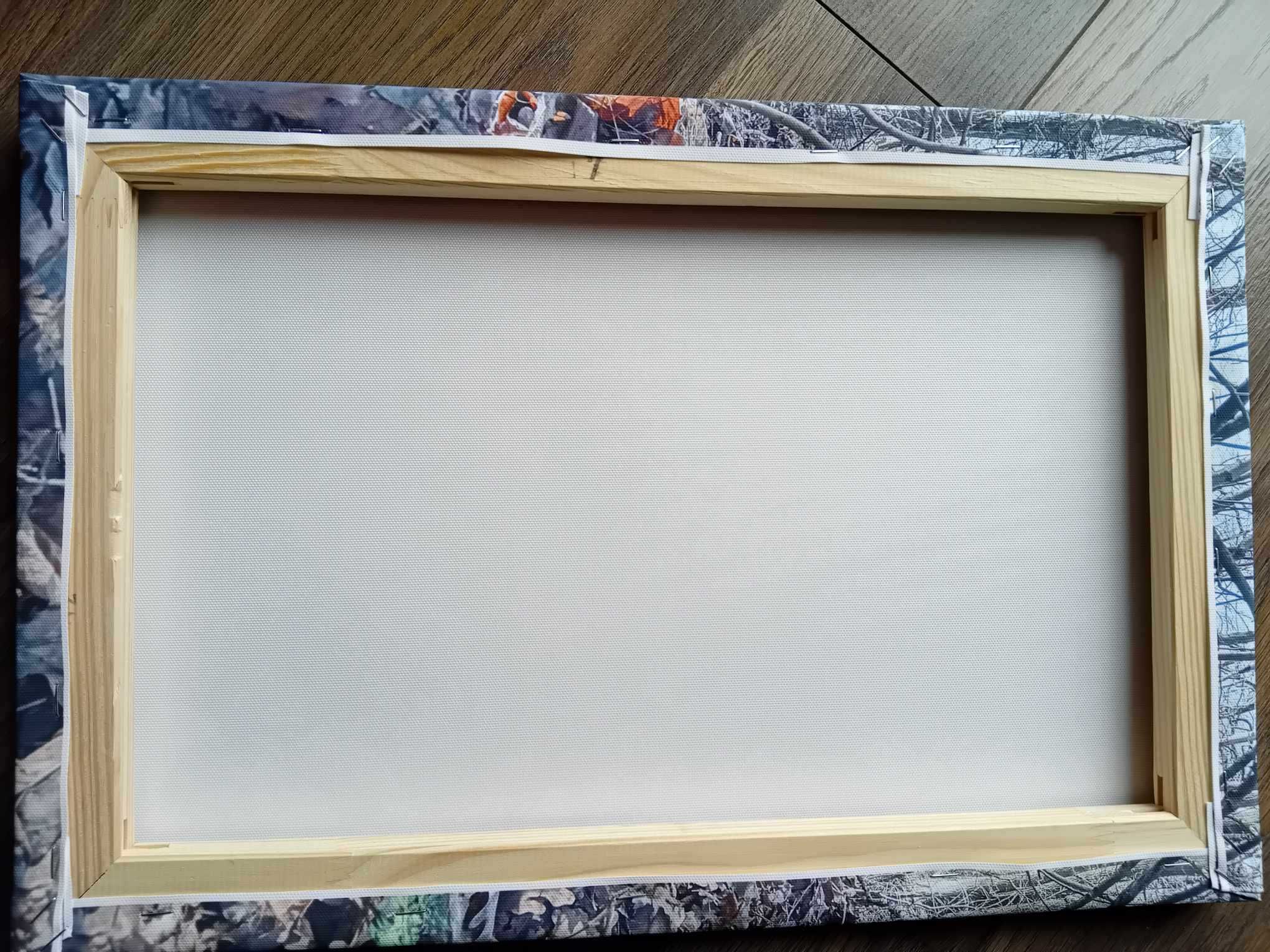 Obraz Przebudzenie_ zielona paproć _ 45x30