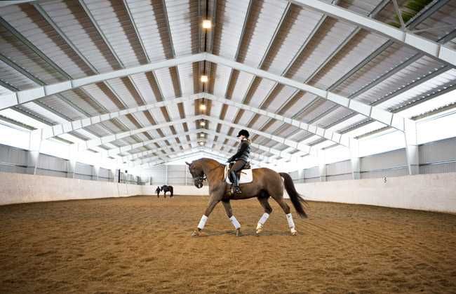 Geowłóknina na padok, lonżownik mata włóknina ujeżdżalnia