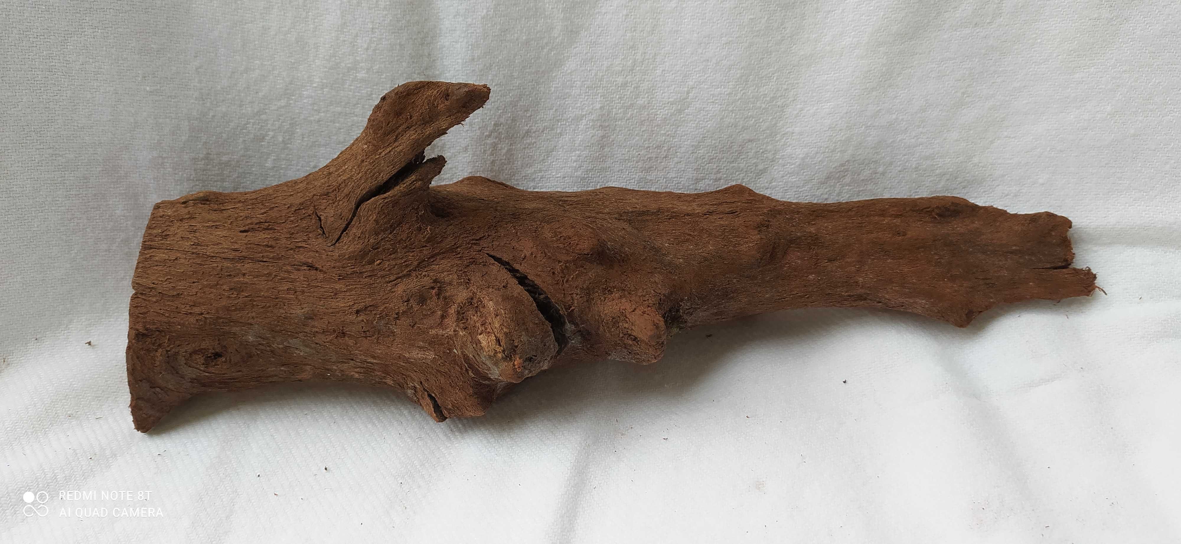 Korzeń do akwarium-24 cm