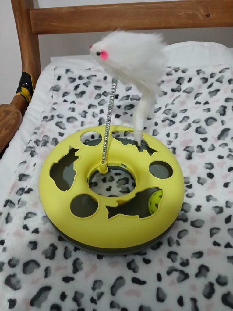 Brinquedo para Gato